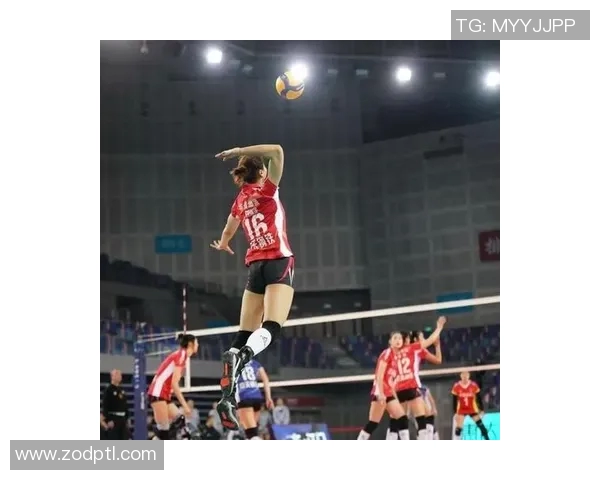 深入分析上海排球队的整体压制打法及其战术优势与实施策略