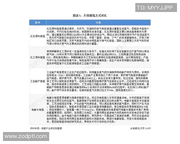 成都排球队技术分析与发展探讨聚焦排球竞技新趋势 成都排球队技术分析与发展探讨聚焦排球竞技新趋势