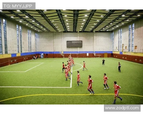 上海网球队拼搏历程与欧冠足球的奋斗精神交汇之旅