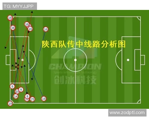 体育实时数据深圳篮球队力量表现的数据分析与探讨