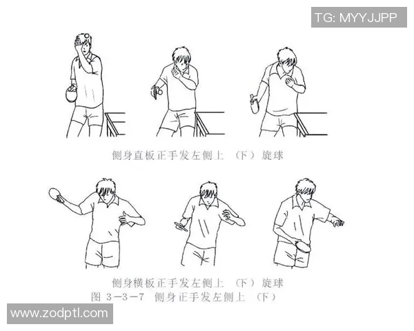 运动数据乒乓球新手必看快速上手技巧与训练方法全解析